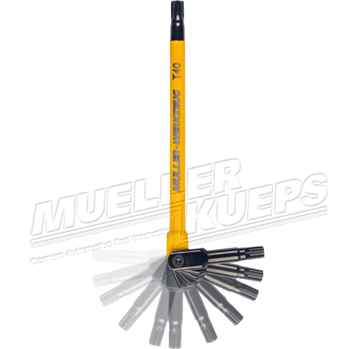 Kogel-torxset - Mueller-Werkzeug-Benelux